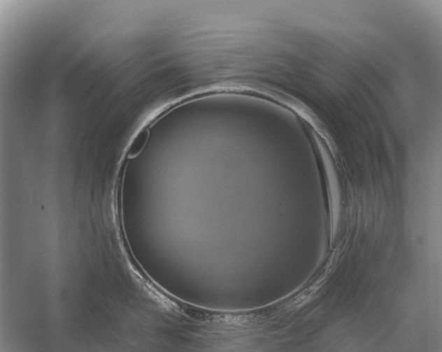 X0000058780958200510071605