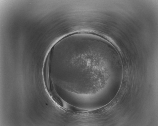 X0000058780959200510071605