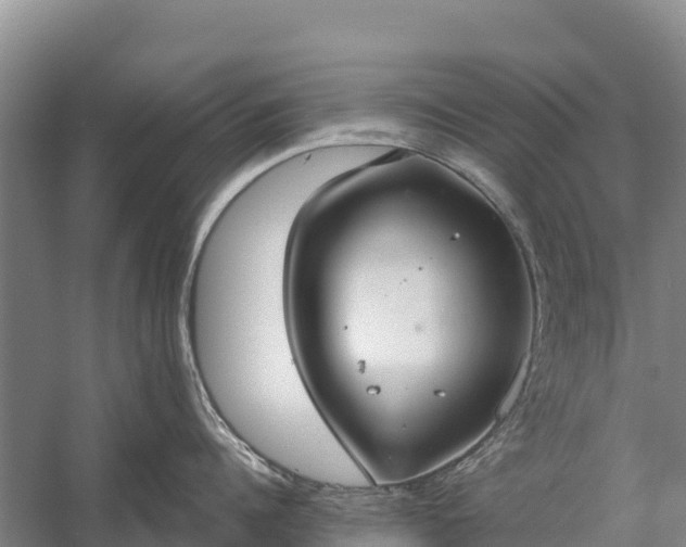 X0000058780960200510071605