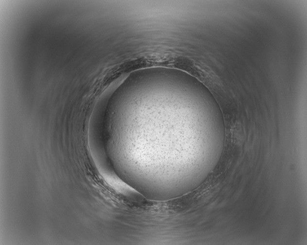 X0000058780961200510071604