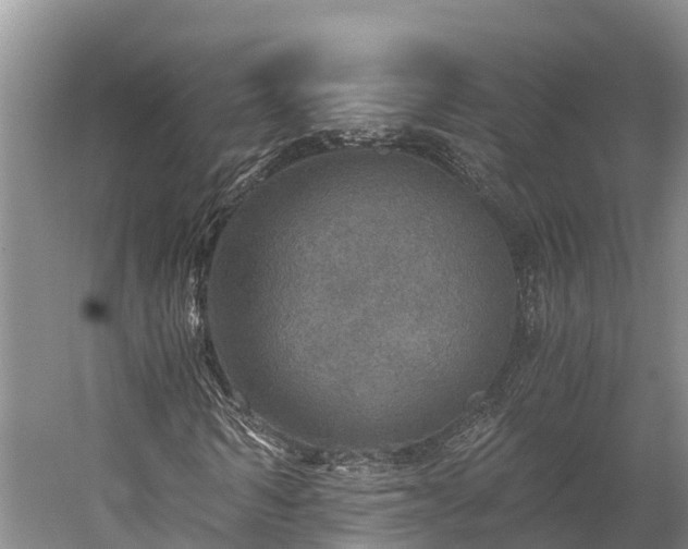 X0000058780962200510071604