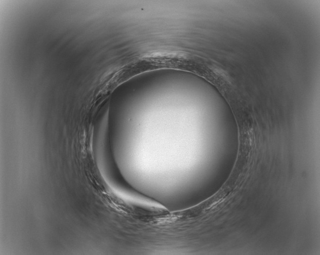 X0000058780965200510071604