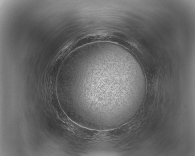 X0000058780967200510071604