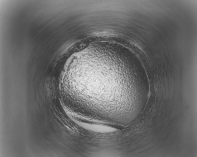 X0000058780968200510071604