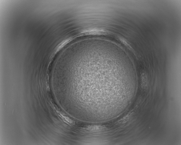 X0000058780970200510071604