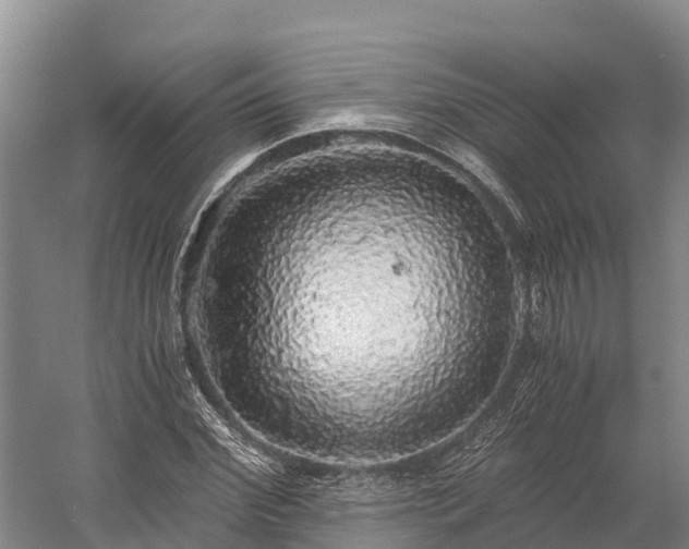 X0000058780972200510071604