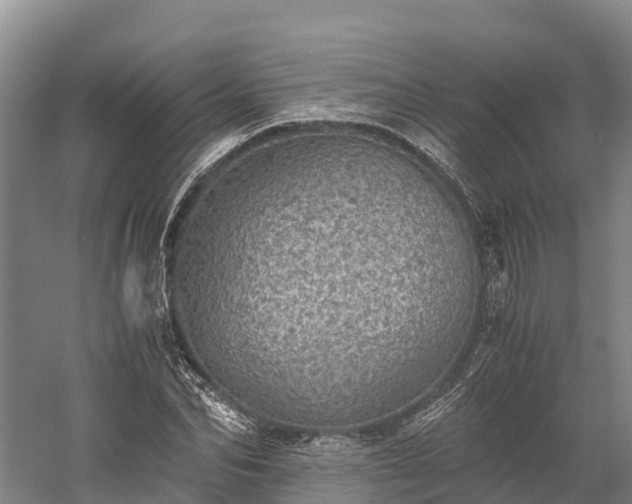 X0000058780974200510071604