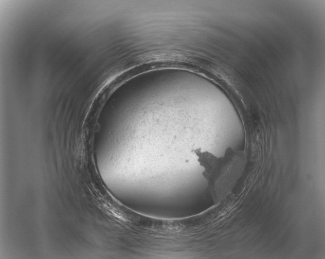 X0000058780975200510071604