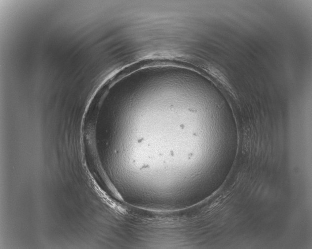 X0000058780976200510071604