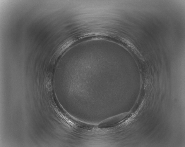 X0000058780977200510071604