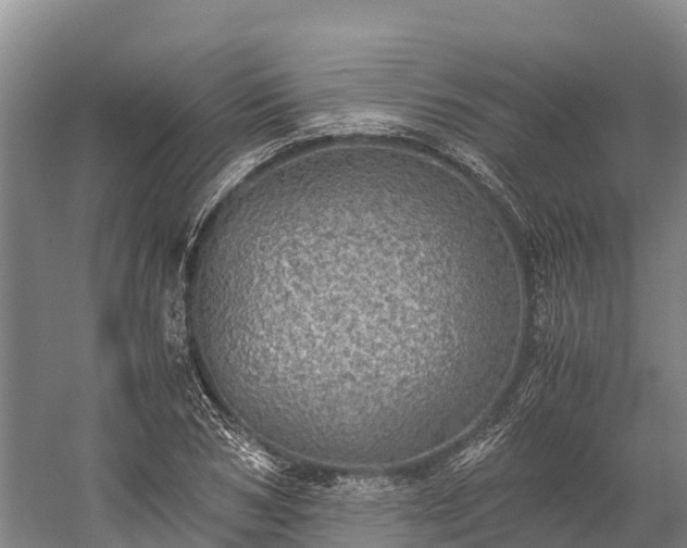 X0000058780978200510071604