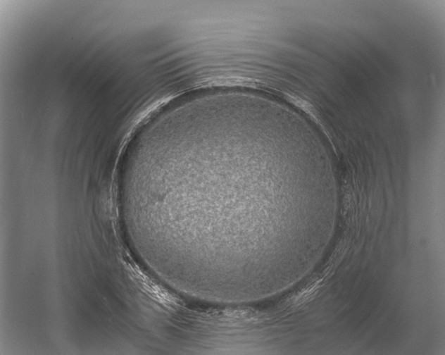 X0000058780979200510071604