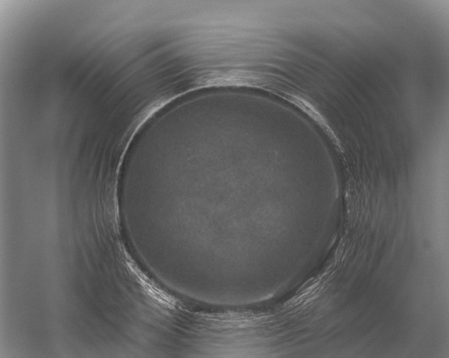 X0000058780980200510071604