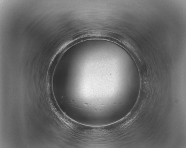 X0000058780981200510071604