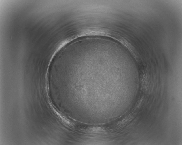 X0000058780982200510071604