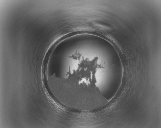 X0000058780983200510071604