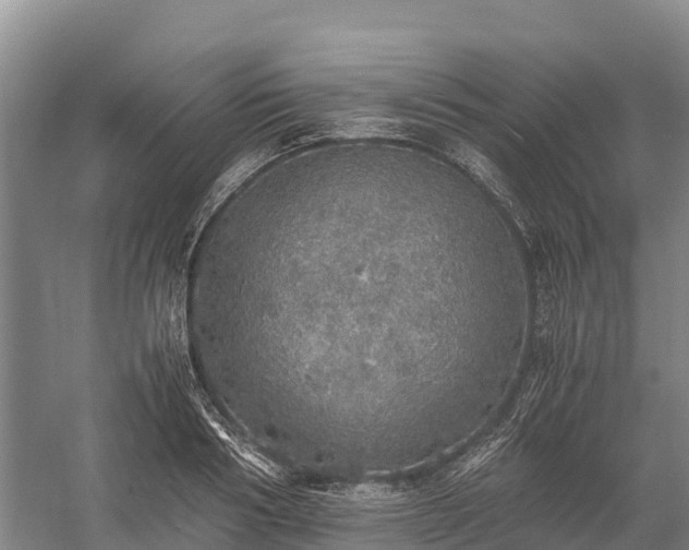 X0000058780986200510071604