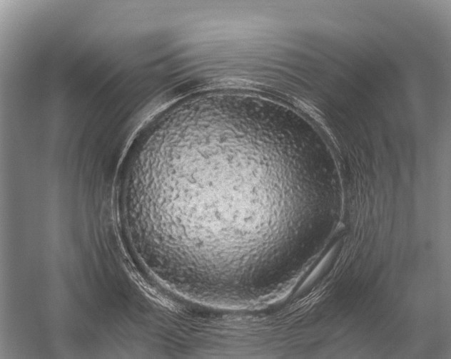 X0000058780987200510071604