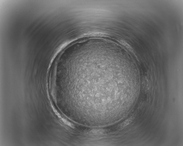 X0000058780989200510071604