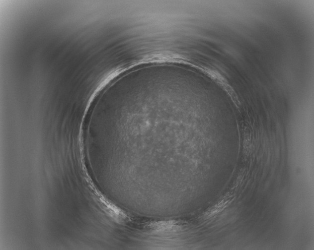 X0000058780990200510071604