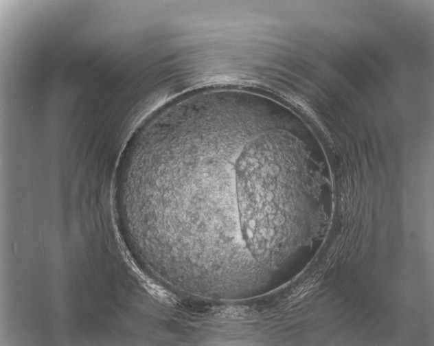 X0000058780991200510071604