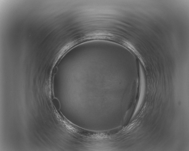 X0000058780994200510071604