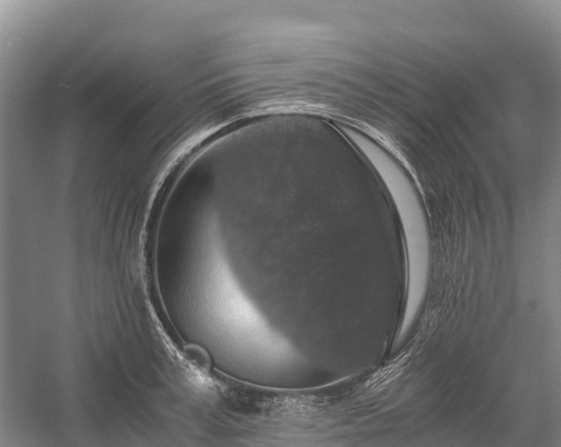 X0000058780995200510071604