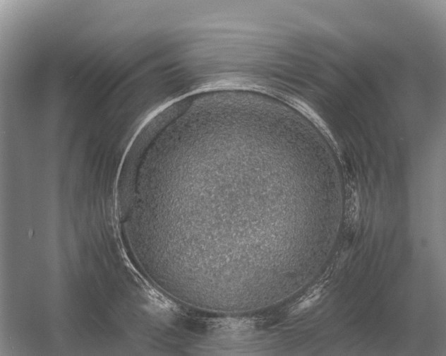 X0000058780996200510071604