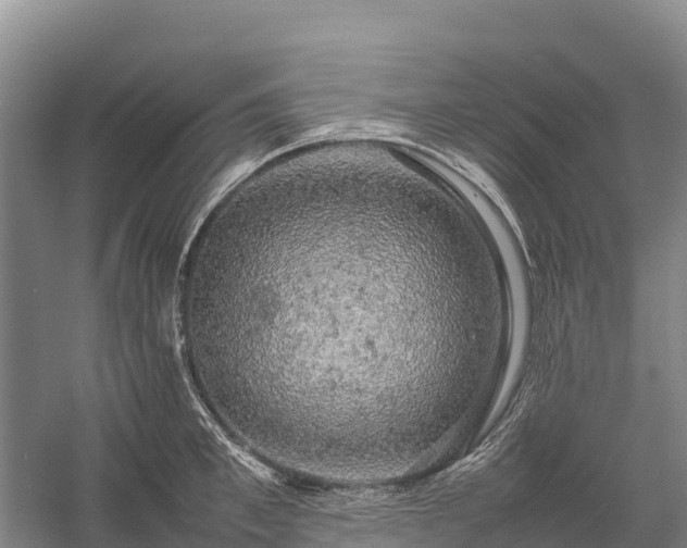 X0000058780997200510071604