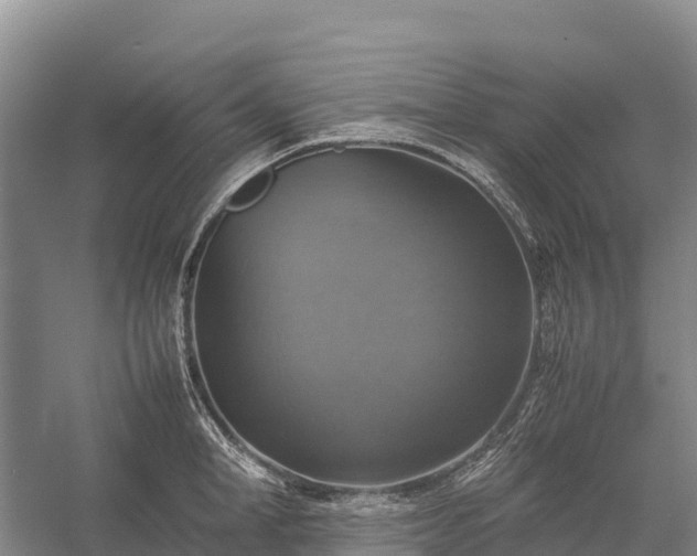 X0000058780998200510071604