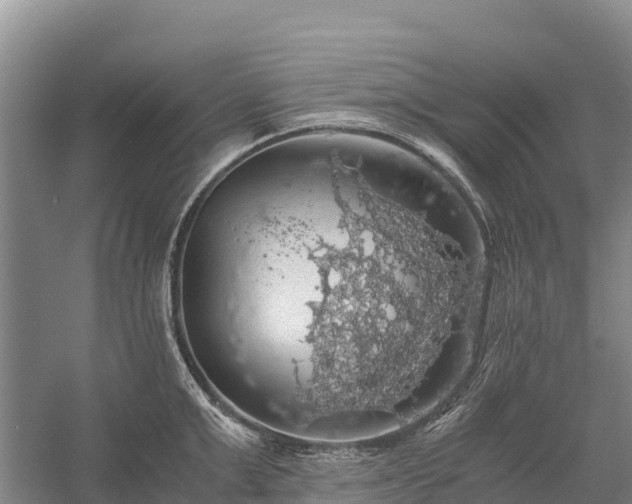 X0000058780999200510071604