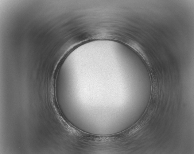 X0000058781000200510071604