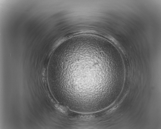 X0000058781001200510071604