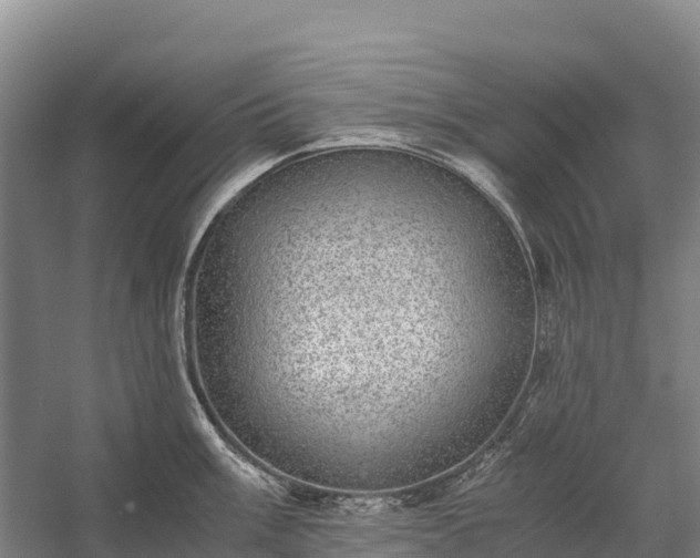 X0000058781003200510071604