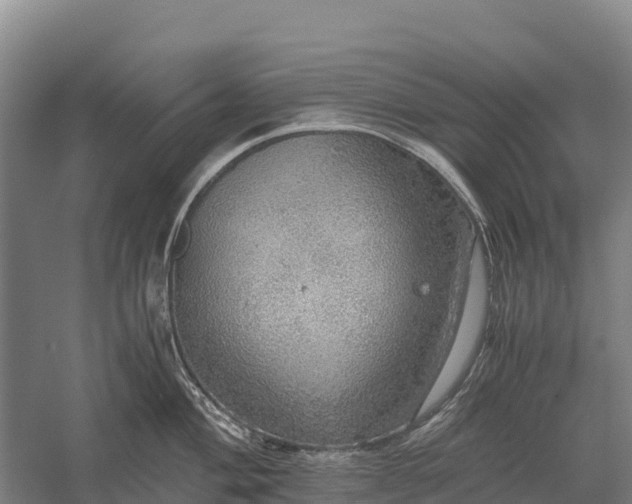 X0000058781004200510071604