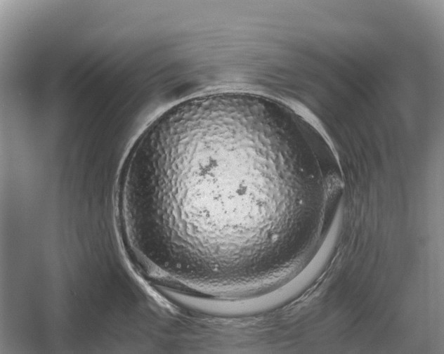 X0000058781005200510071604