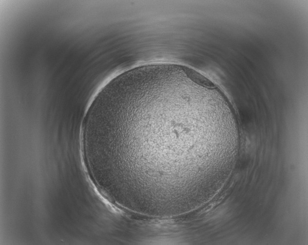 X0000058781006200510071604