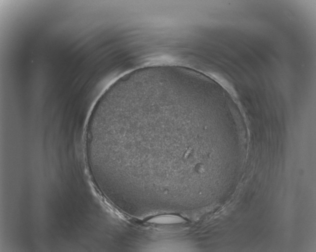 X0000058781008200510071604