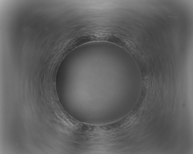 X0000058781009200510071603