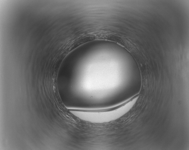 X0000058781010200510071603