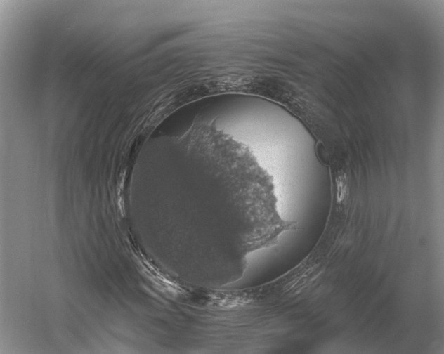 X0000058781011200510071603