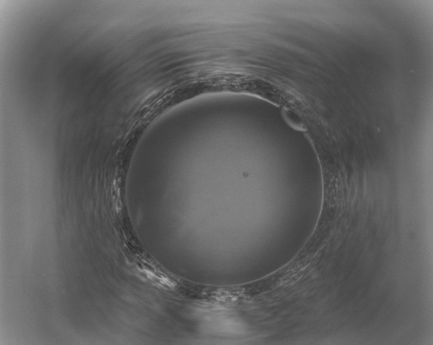 X0000058781013200510071603