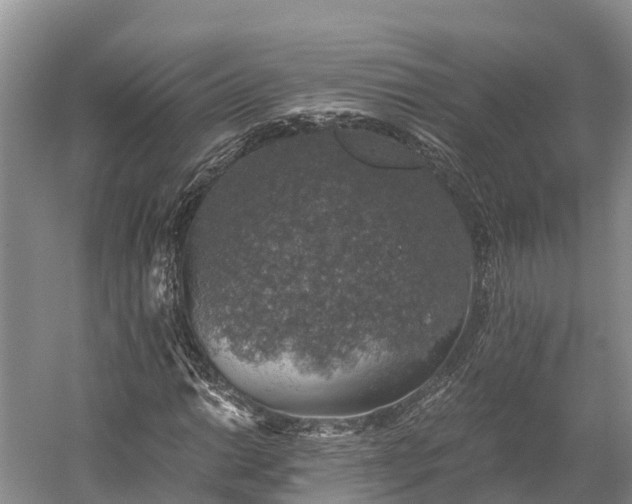 X0000058781014200510071603