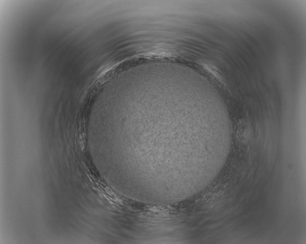 X0000058781015200510071603