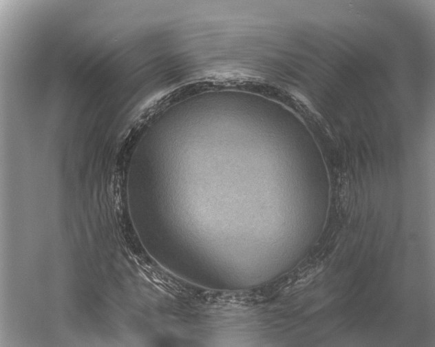 X0000058781016200510071603