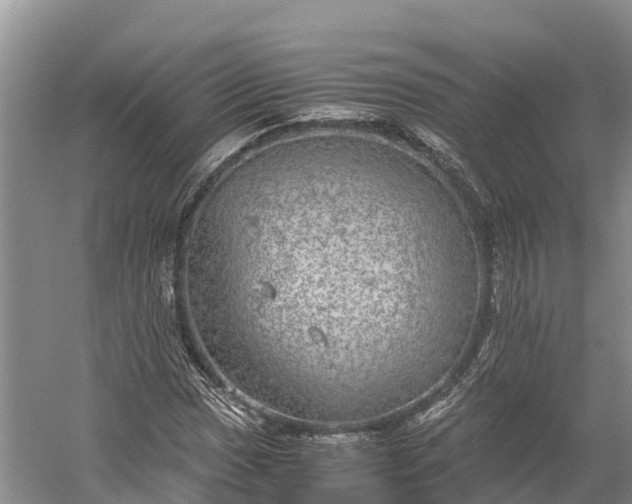 X0000058781017200510071603