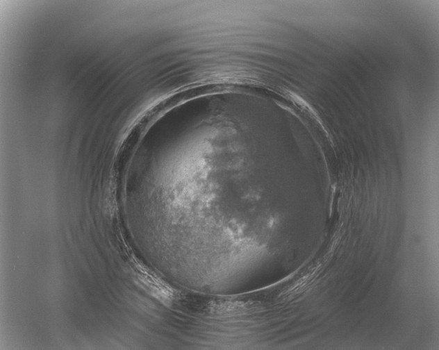 X0000058781019200510071603