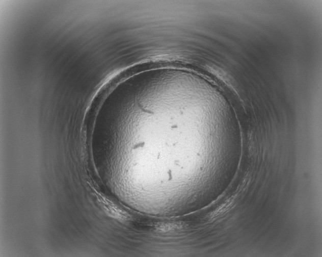 X0000058781021200510071603