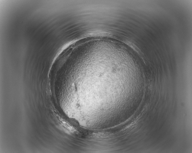 X0000058781022200510071603