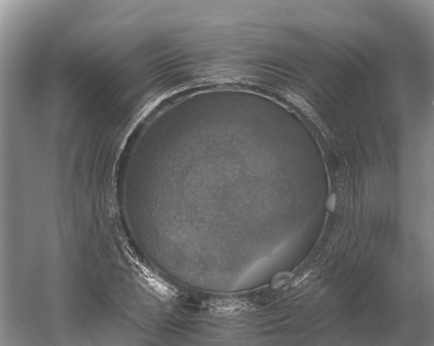 X0000058781023200510071603